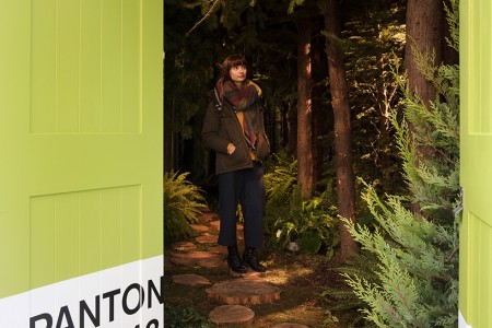Airbnb联手Pantone打造草木绿主题公寓